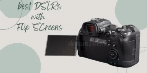 best DSLR camera with flip screen